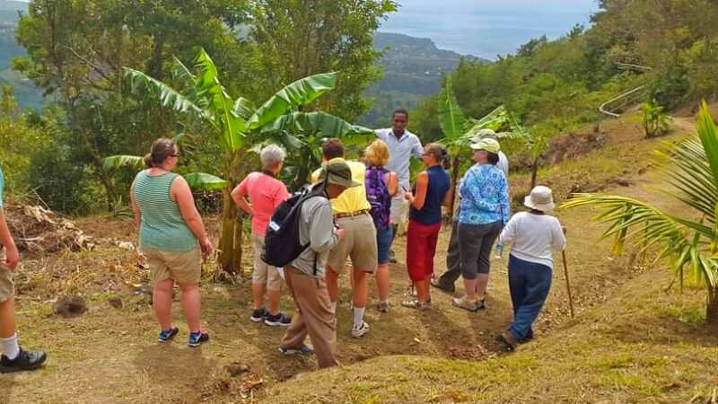 Tours of St. Lucia