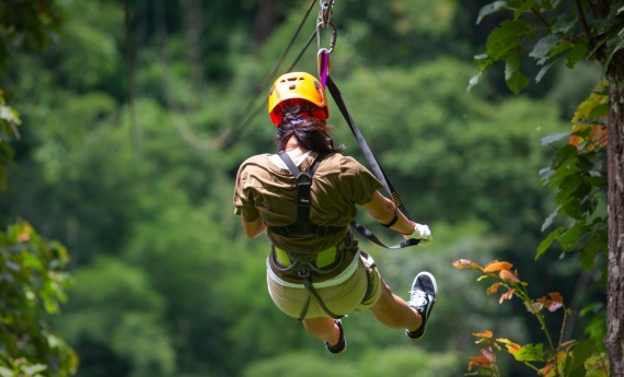 Rainforest-Sky-Rides